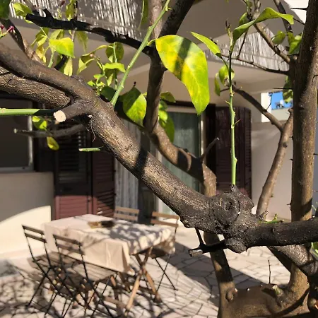 Odegos Mono & Trilo 3*