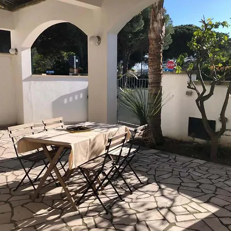 Odegos Mono & Trilo トッレ・デル・オルソ