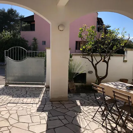 Odegos Mono & Trilo 3*